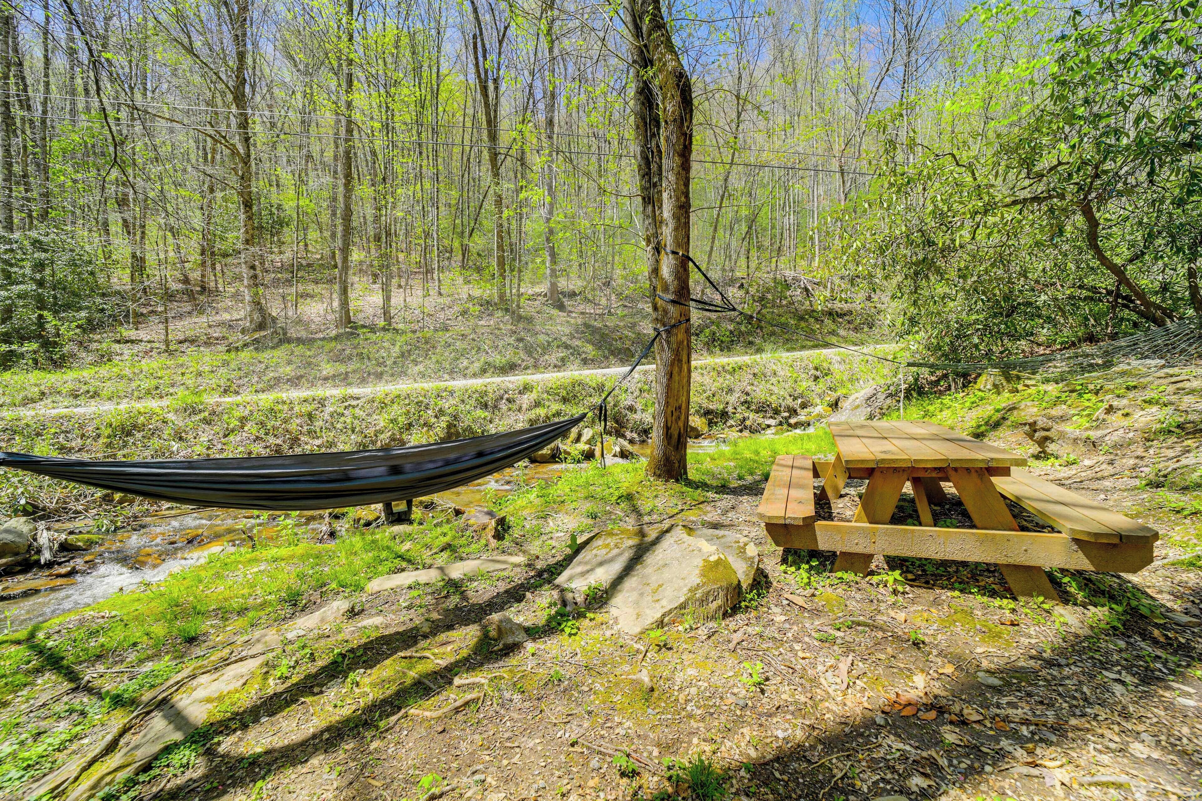A hammock, picnic table, and a natural setting with trees and a stream.