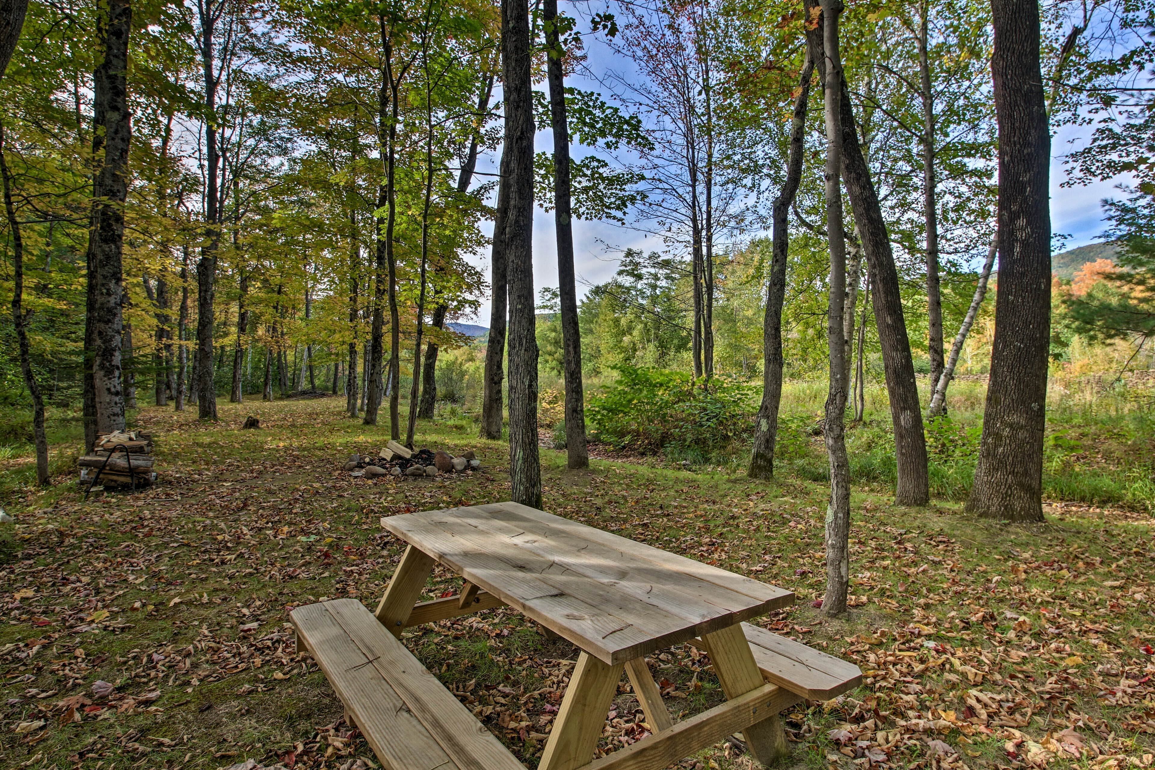 Une table de pique-nique dans une forêt, avec de grands arbres et un ciel dégagé.