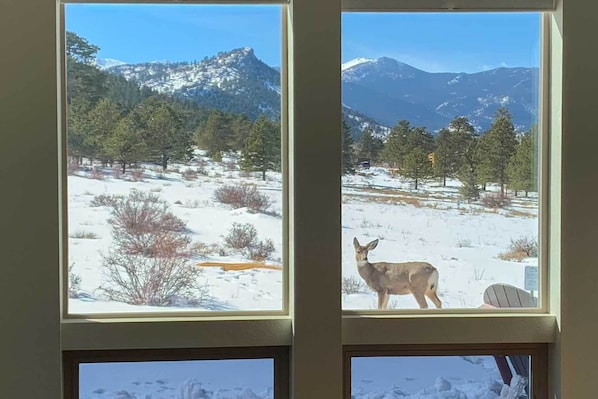 A window with a view of a snowy landscape, including a deer and mountains. - 3 Mi to Rmnp! Mtn-view Retreat in Estes Park (Estes Park)