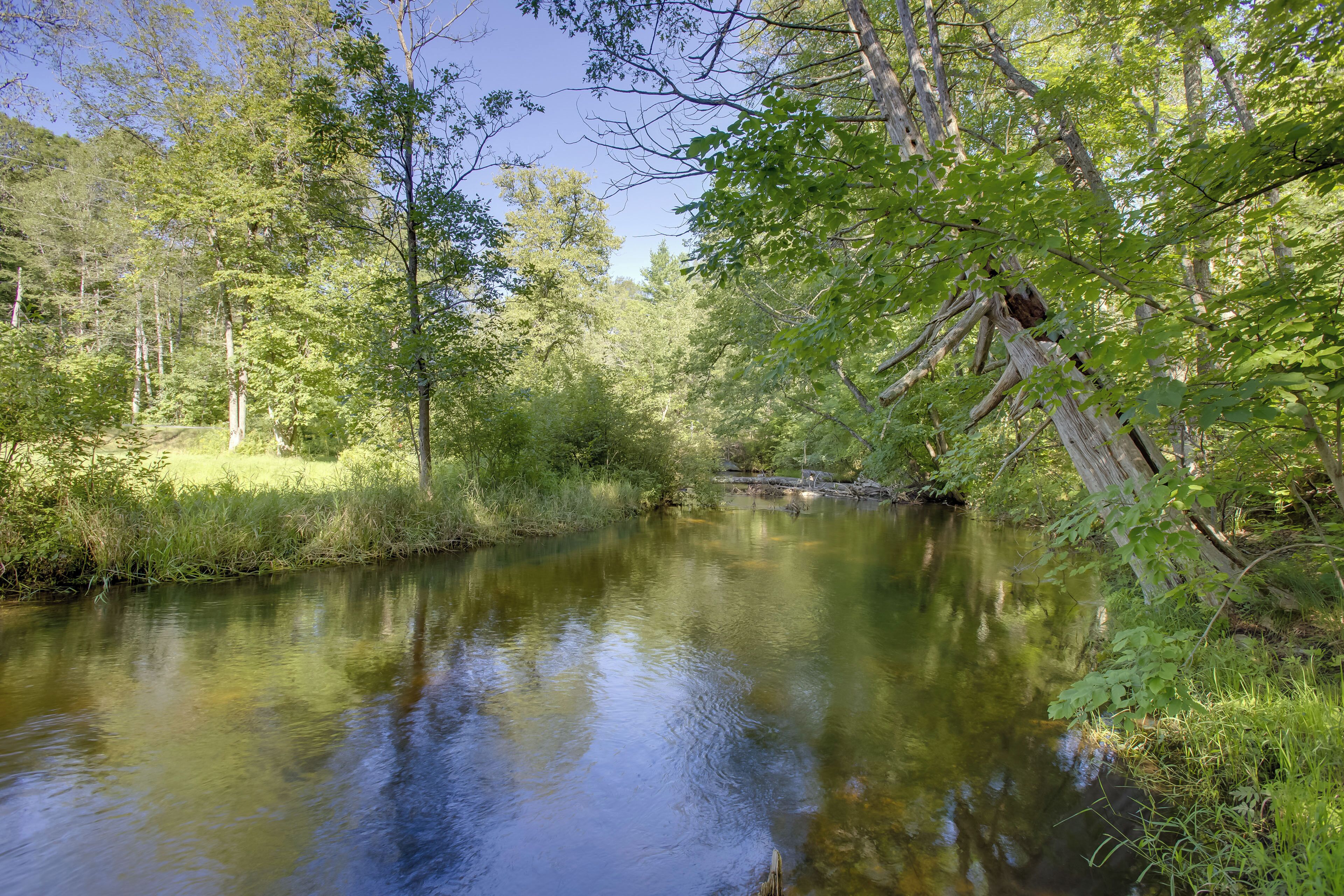 A calm river surrounded by dense greenery and trees.
