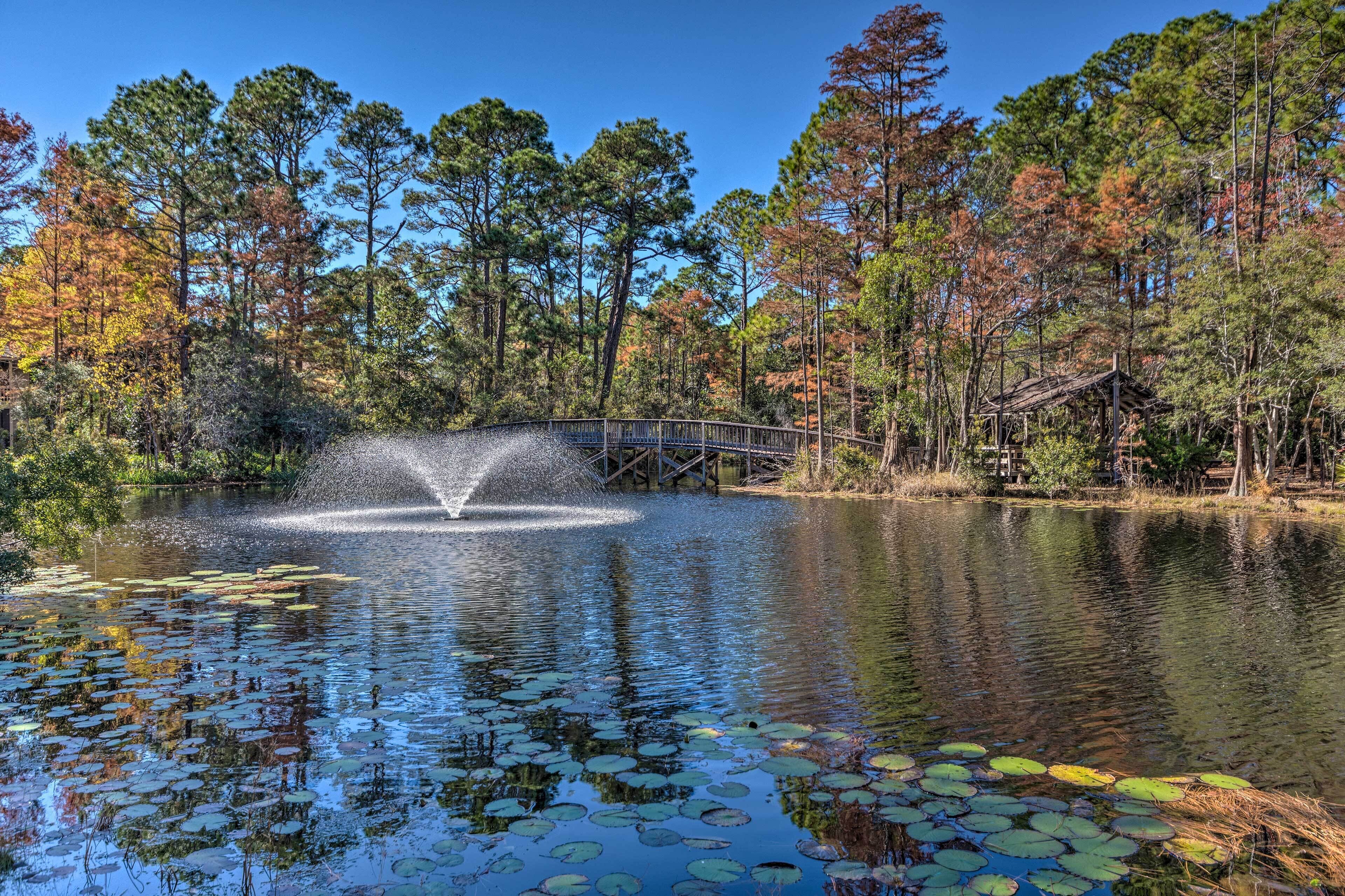 A serene pond with lily pads and a wooden bridge.