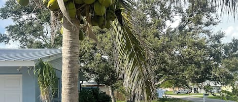 Talo (3 Bedrooms) | Sisätilat