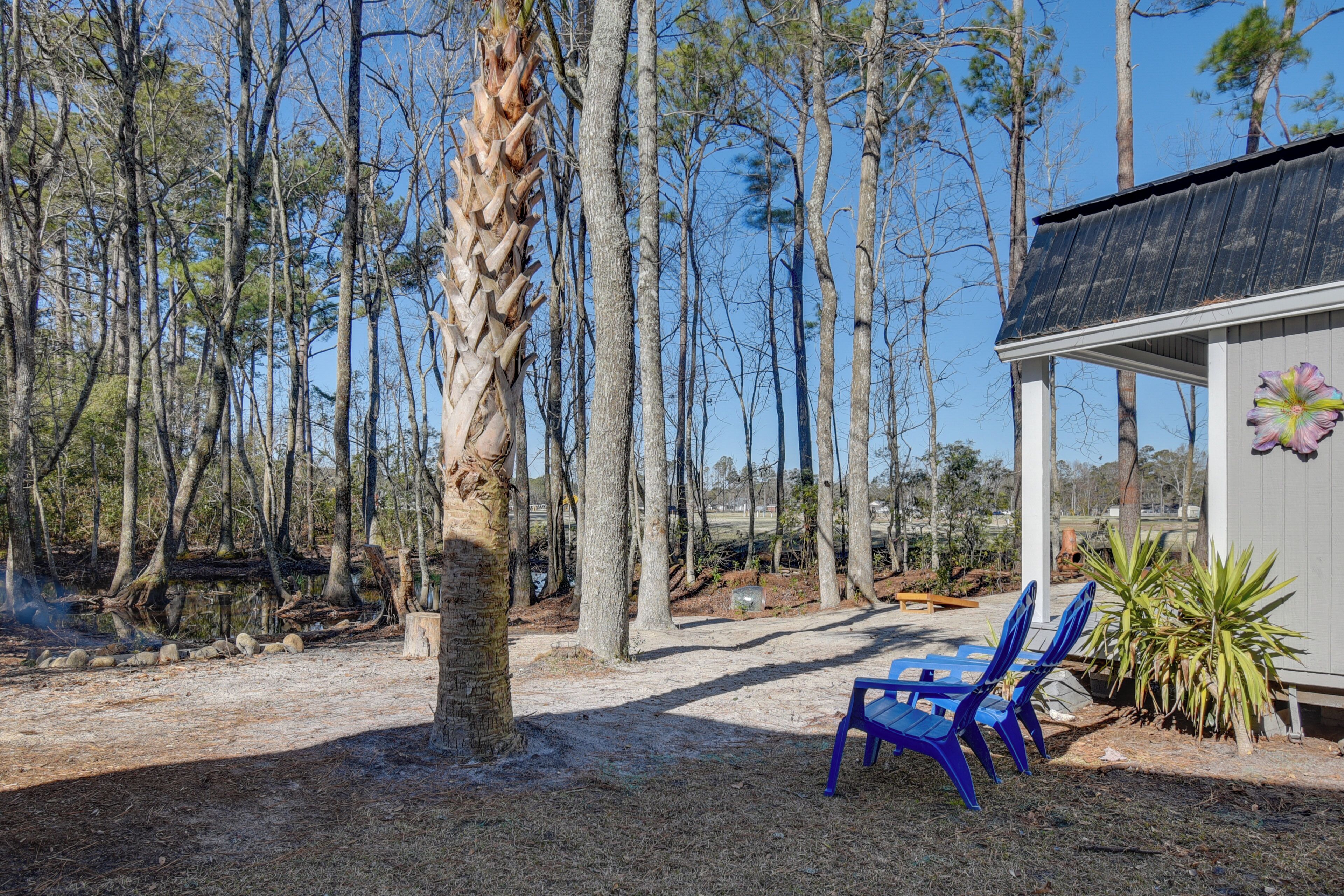 A wooden cabin with two blue chairs outside, surrounded by tall trees and a clear sky.