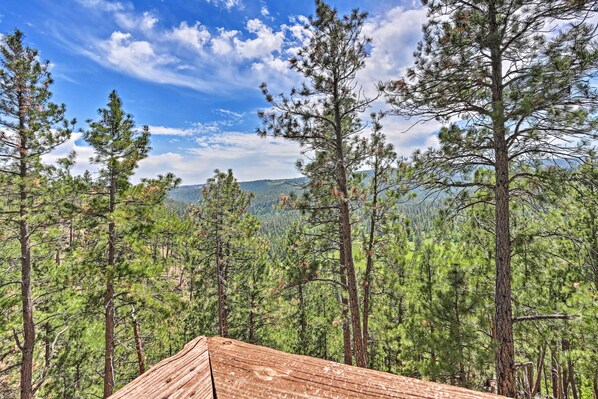 A forested landscape with a wooden structure in the foreground.