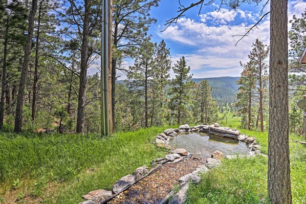 House (3 Bedrooms) | Interior - Rustic Black Hills Retreat w/ Expansive Views (Rapid City)
