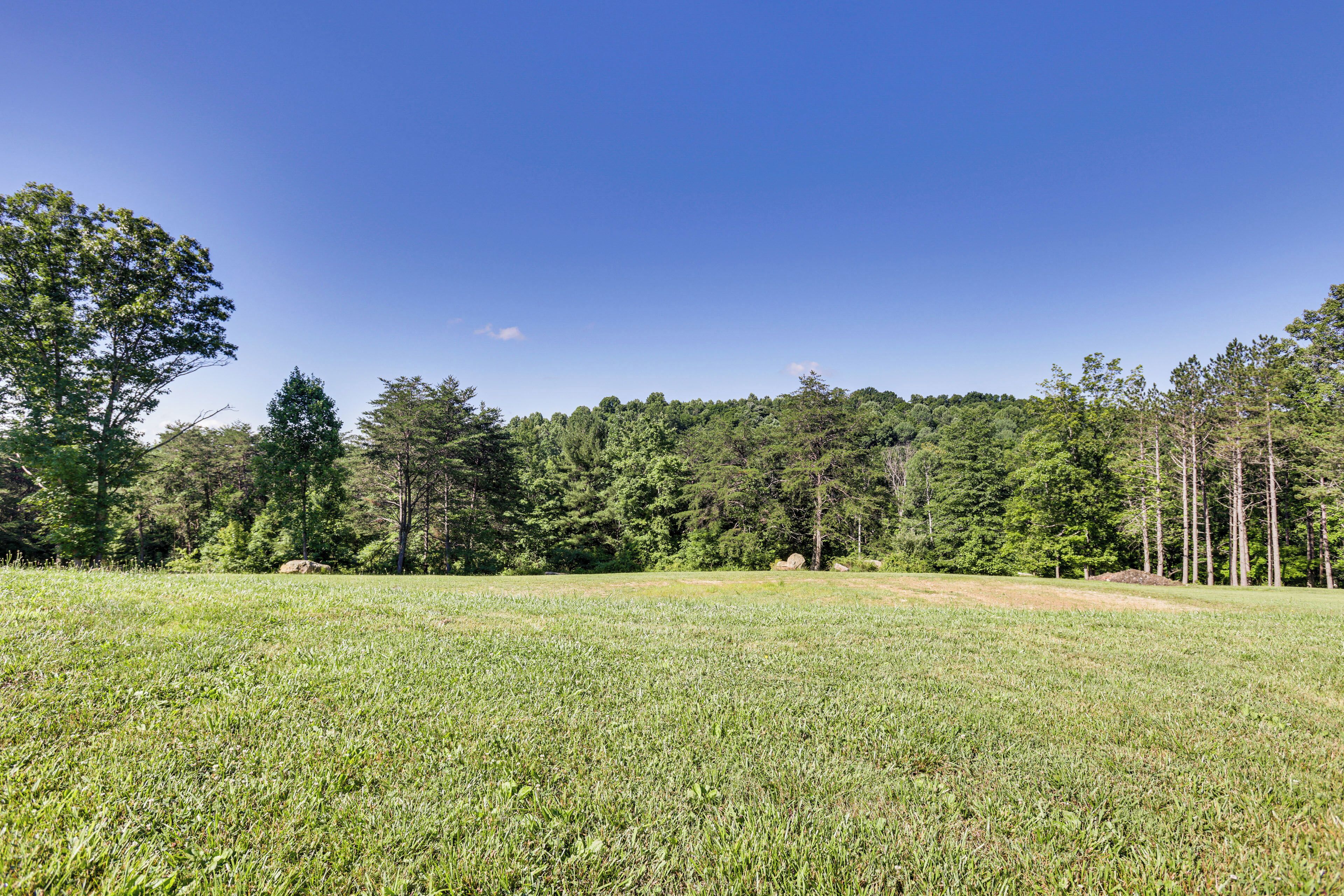 A grassy field with trees in the background.