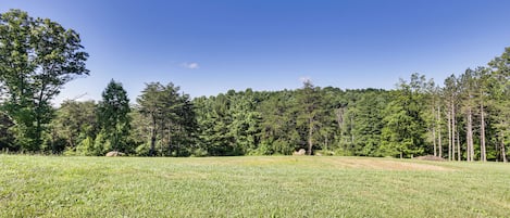 A grassy field with trees in the background.