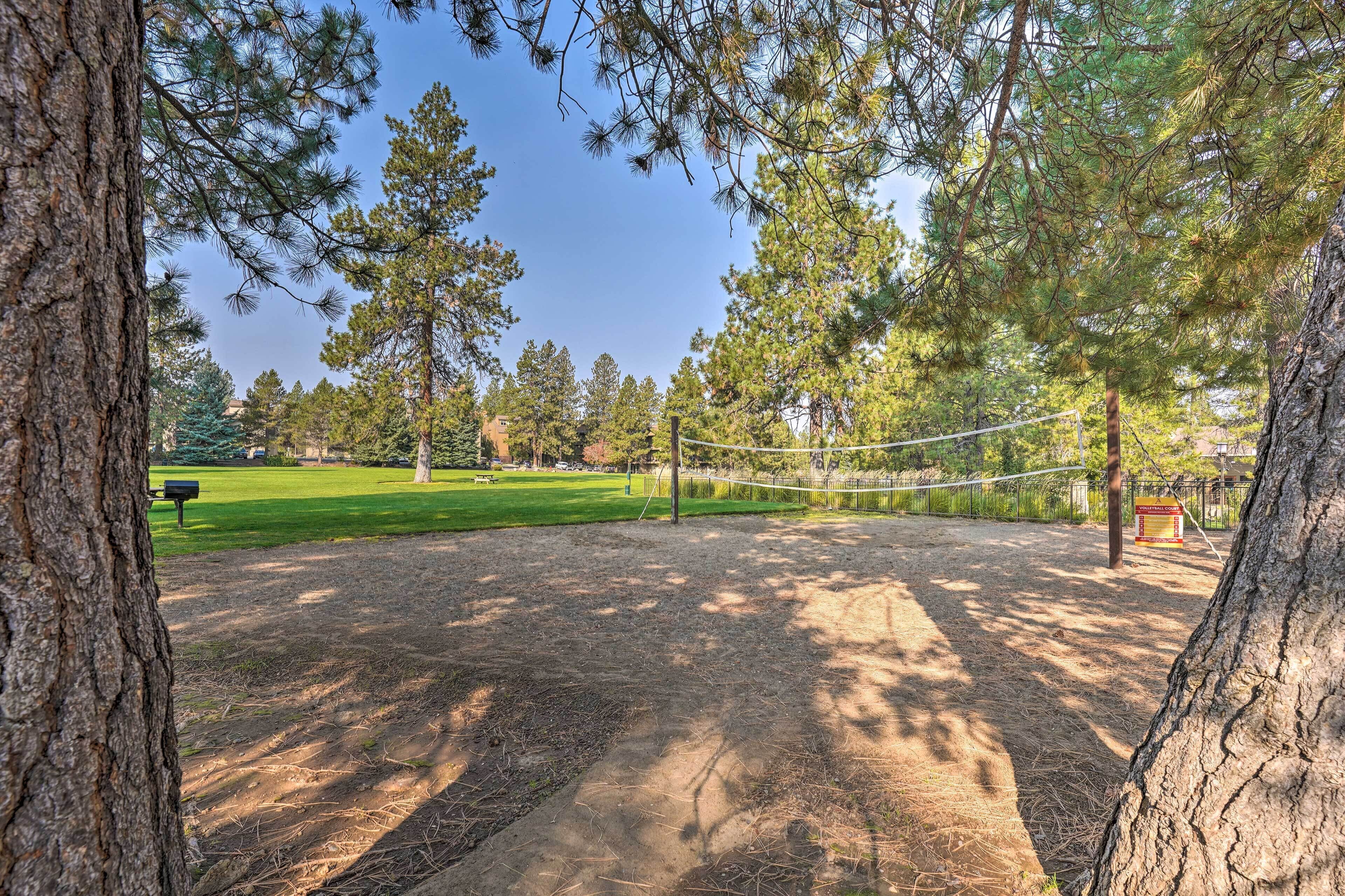 Un parco con una rete da pallavolo, alberi e una zona erbosa.
