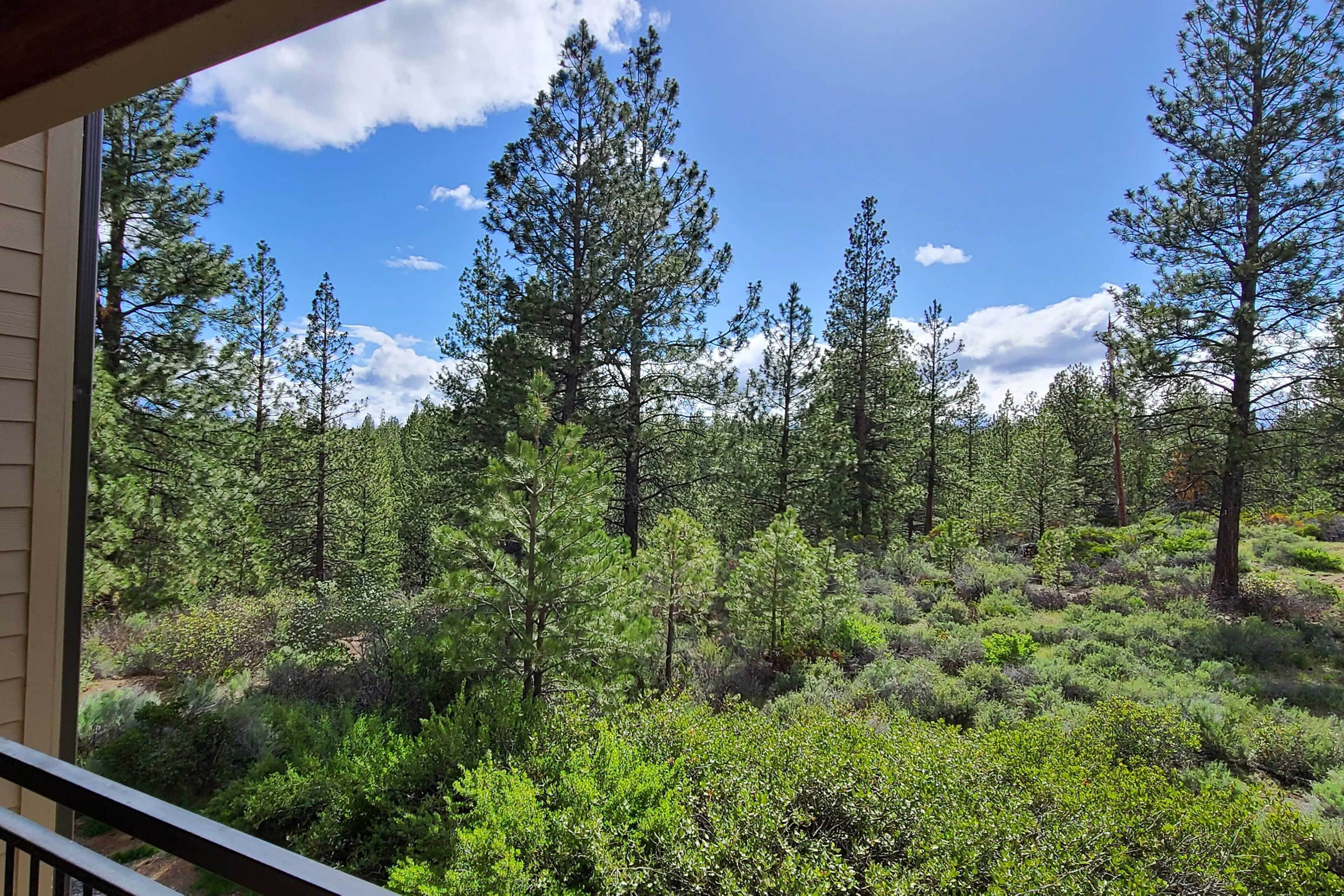 公寓 (1 Bedroom) | 住宿內部