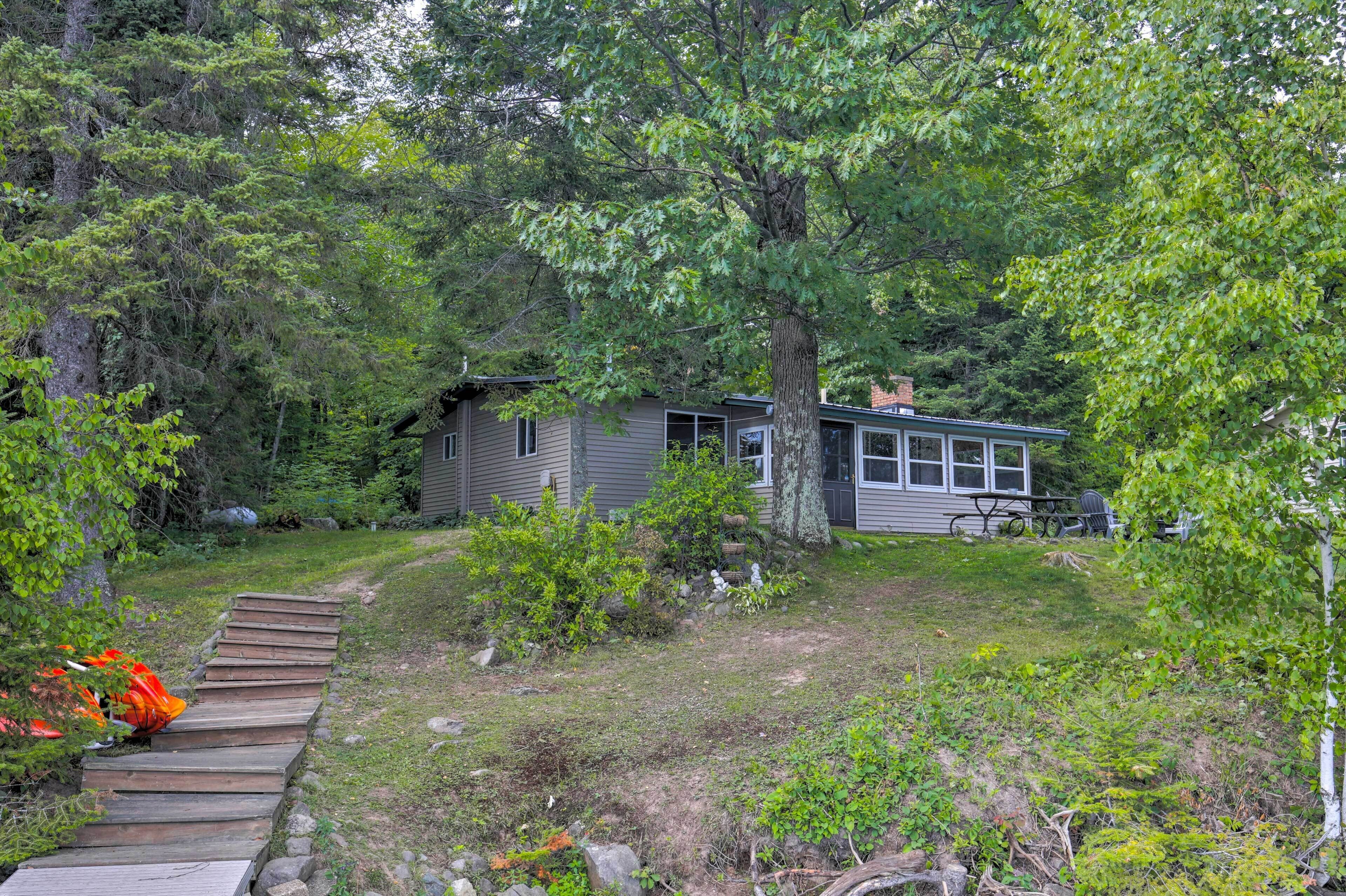 A cabin surrounded by dense forest, with a wooden deck leading to the entrance.