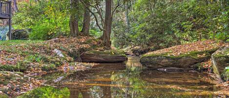 Escena serena de un bosque con un arroyo cristalino, rocas y un banco de madera.