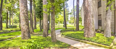 Appartement (1 Bedroom) | Interieur