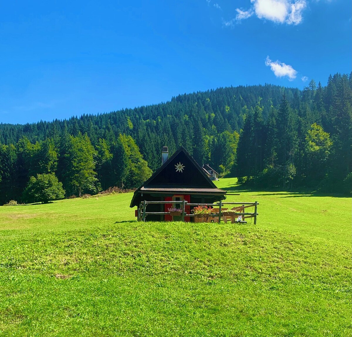 Bild für Gastgeberprofil