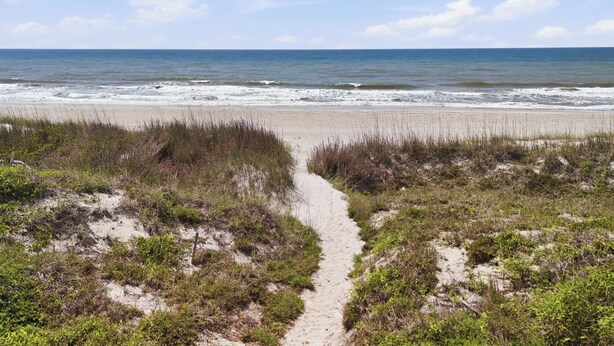 Ein Strandweg, der zum Meer führt, mit Sand und Vegetation.