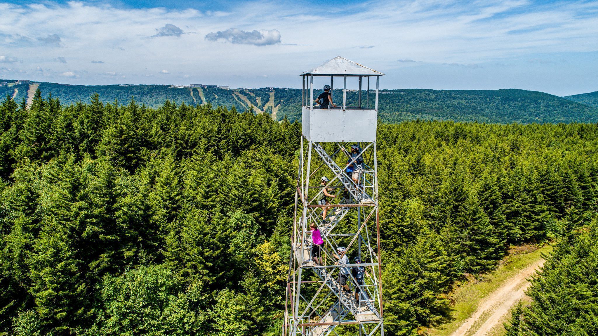 A metal observation tower surrounded by dense forest, with a clear sky and distant mountains.