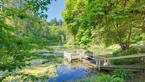 A serene pond with wooden walkways and ferns. - Historic Auburn House on 37 Acres w/ Private Lake! (Kent)