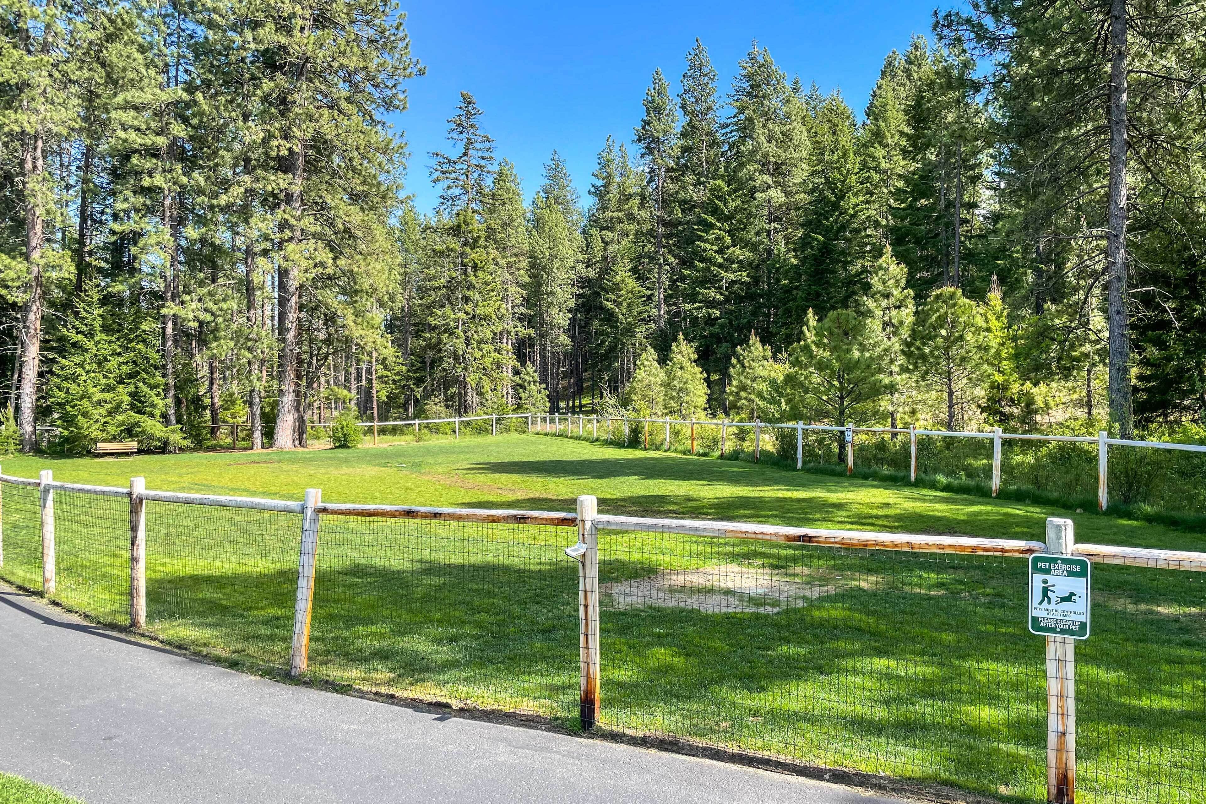A fenced pet exercise area with a grassy field, surrounded by trees.