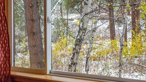 A window with a view of a forested area with trees and snow. - Romantic Riverfront Cottage - 1 Mile to Winthrop! (Winthrop)