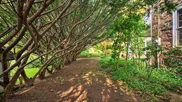 Rumah (4 Bedrooms) | Interior