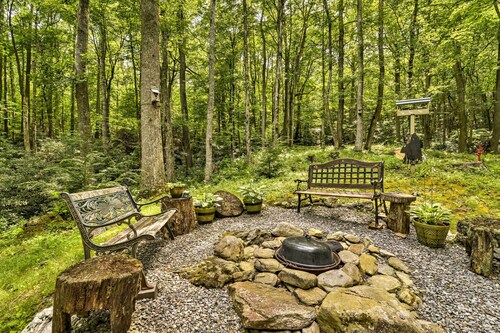 'lotsa Moose Lodge' Pisgah Forest Waterfall Cabin!