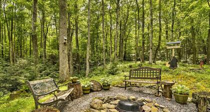 'lotsa Moose Lodge' Pisgah Forest Waterfall Cabin!