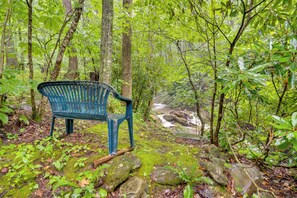 Interior - 'lotsa Moose Lodge' Pisgah Forest Waterfall Cabin! (Burnsville)