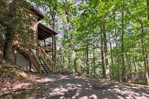 Property grounds - Secluded Forest Cabin, 4 Mi to Downtown Gatlinburg (Gatlinburg)