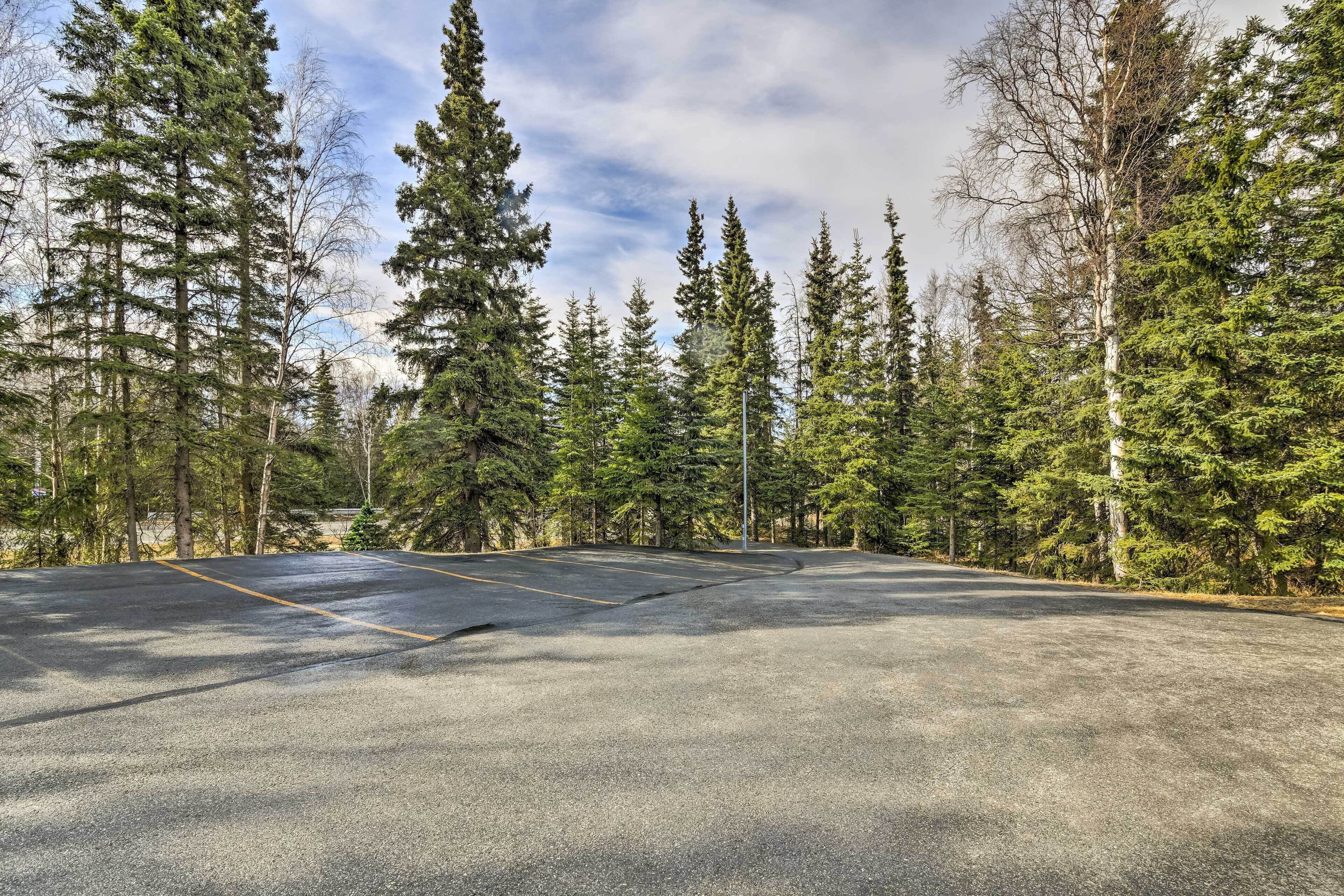 A parking lot surrounded by tall evergreen trees.