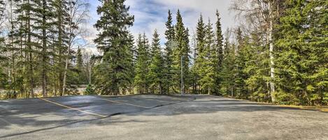 A parking lot surrounded by tall evergreen trees.