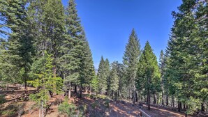 A forested area with tall trees and a dirt path. - 20 Mi to Lassen Park: Chateau w/ Mt Shasta View! (Shingletown)