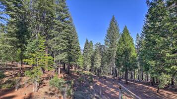 Nhà (3 Bedrooms) | Nội thất