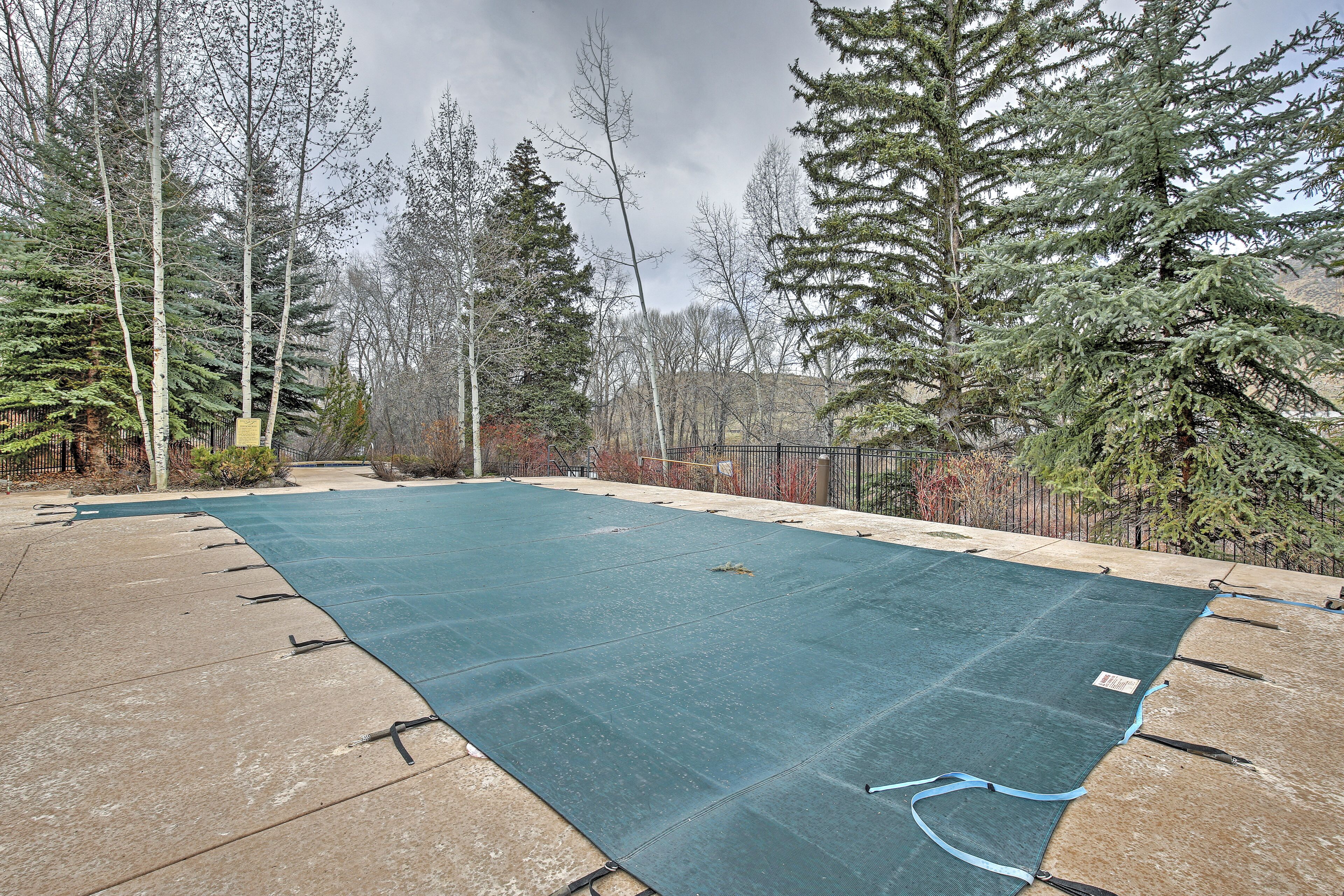 A swimming pool with a green cover, surrounded by trees and a fence.