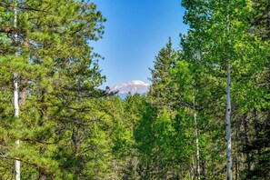 Interior - Sunny Forest Cabin w/ Views of Pikes Peak Mtn! (Florissant)