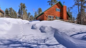 En stuga av trä med ett grönt tak, omgiven av snö och träd.