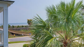 A coastal view with a palm tree, a wooden bridge, and a clear sky.
