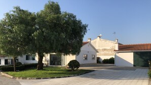 Una zona residencial con un camino pavimentado, un árbol grande y una casa con techo de tejas.