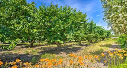 Charming Lodi Retreat: Walk to Local Wineries