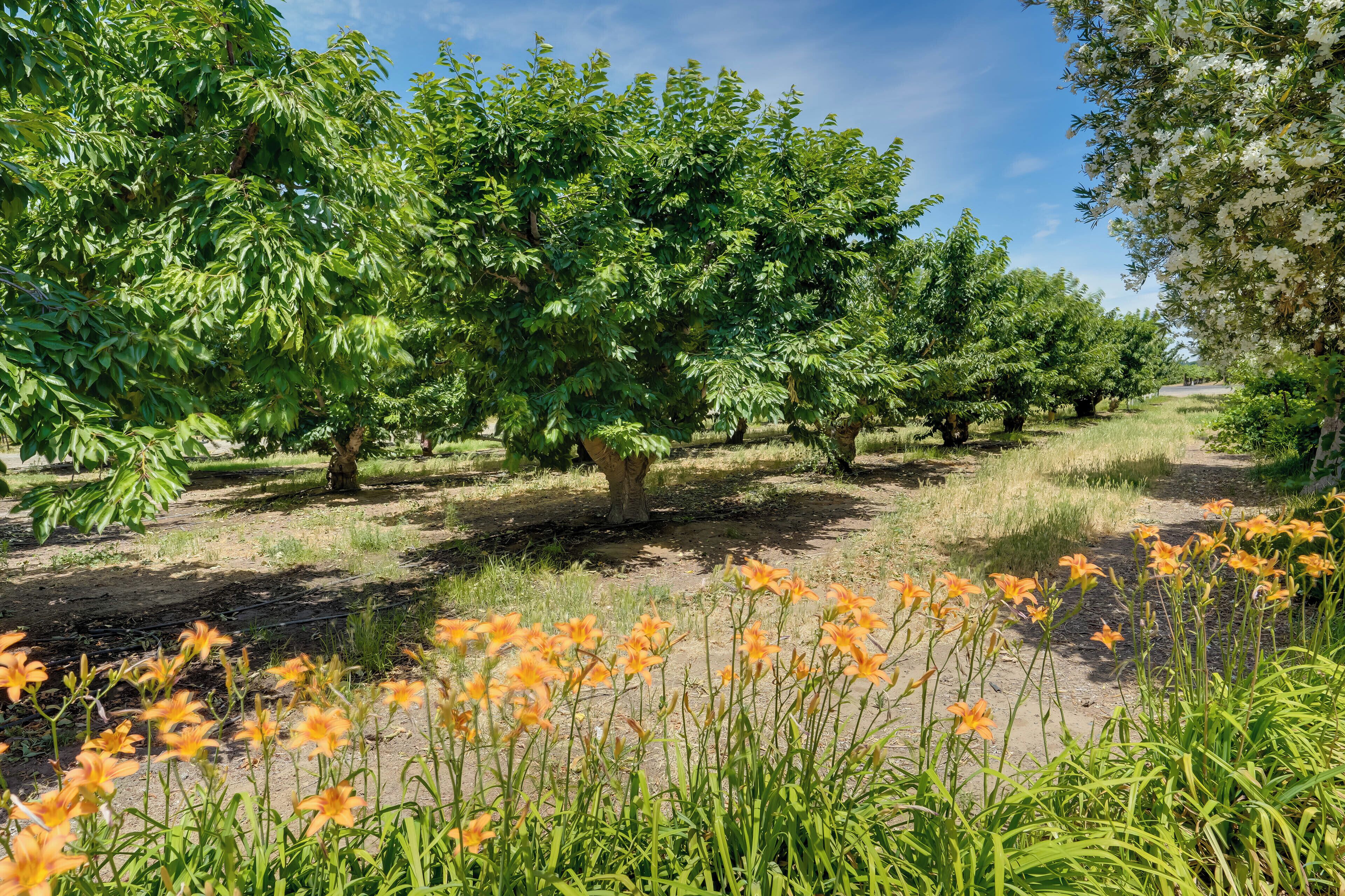 Cottage (2 Bedrooms) | Interior