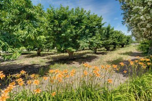 Cottage (2 Bedrooms) | Interior