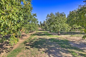 Maison (3 Bedrooms) | Intérieur