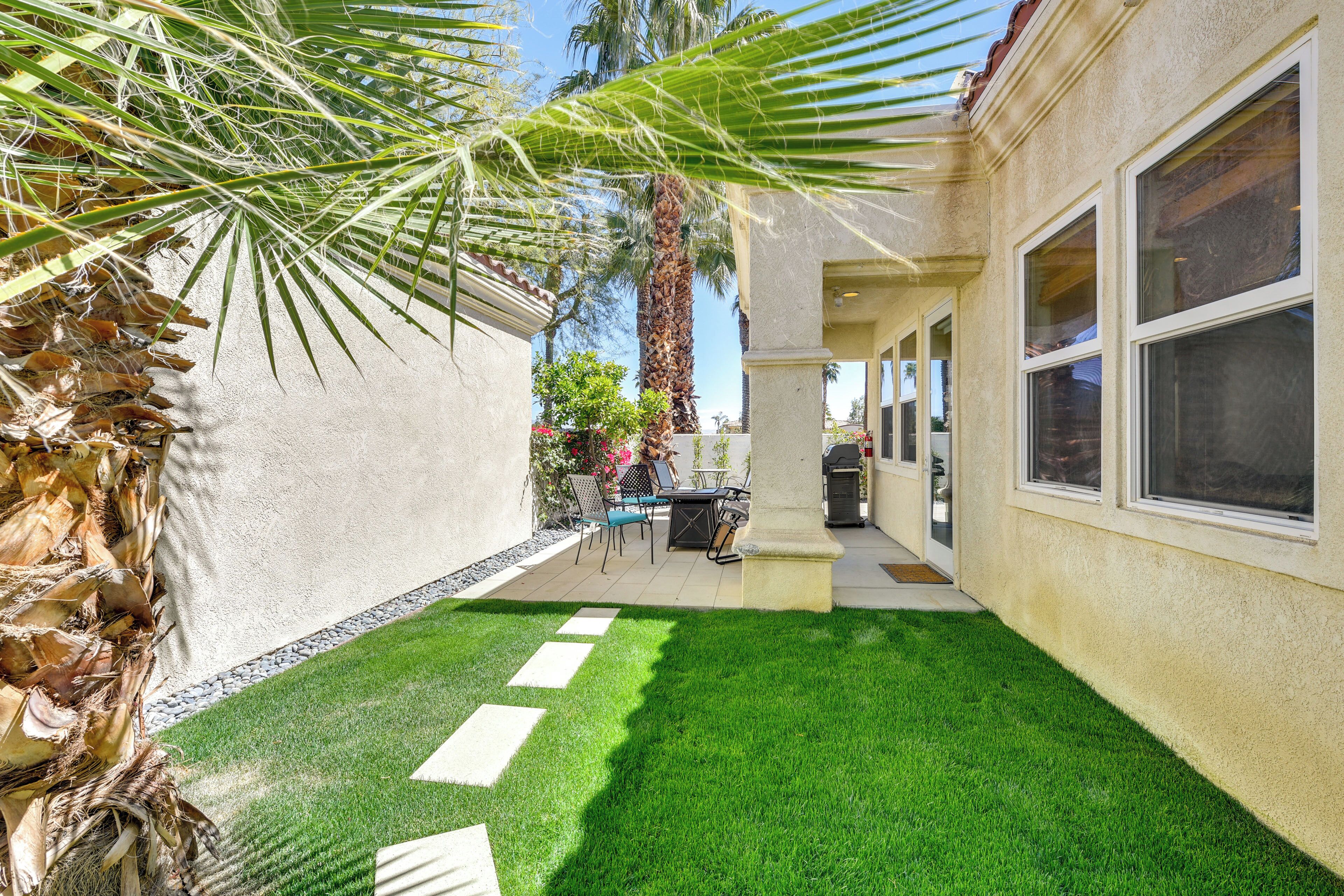 A patio area with a small lawn, a palm tree, and a building with large windows.