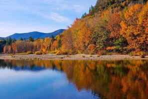 House (2 Bedrooms) | Interior - Cozy White Mtn Hideaway ~ 4 Mi to Hiking & Skiing! (Intervale)