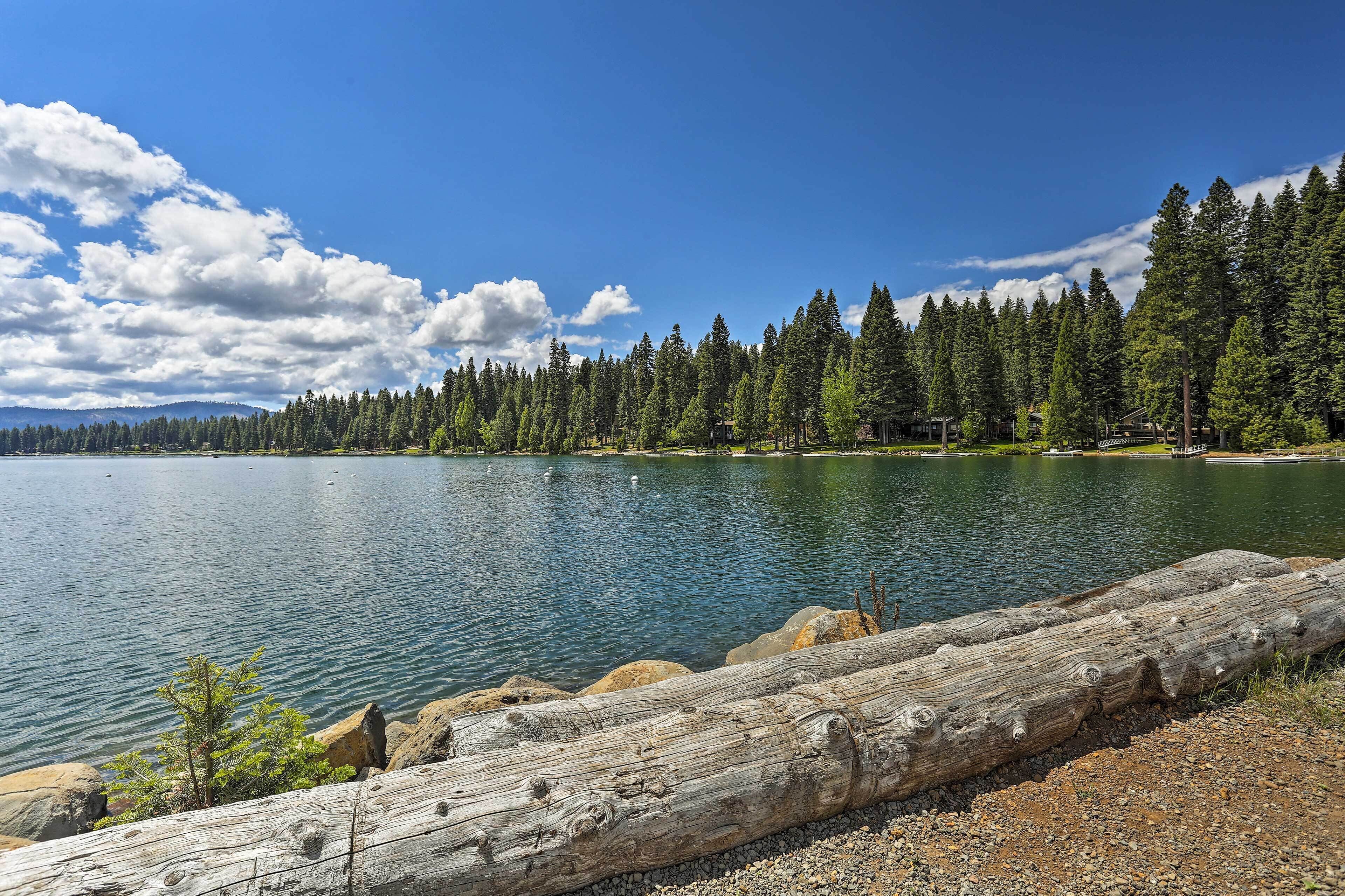 A serene lakeside view with a dense forest, a large log in the foreground, and a clear blue sky.