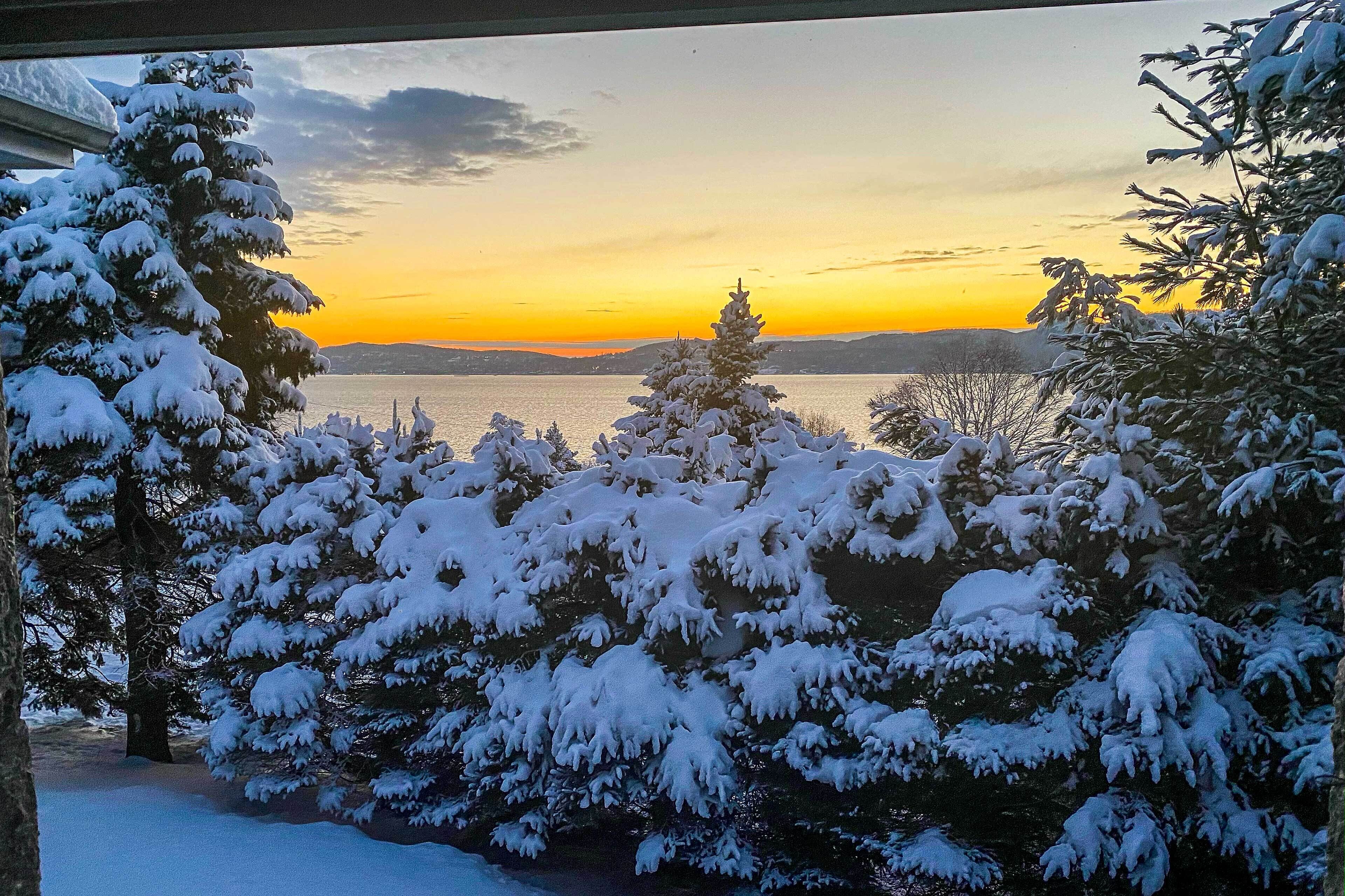 A snowy landscape with a sunset view, featuring snow-covered trees and a body of water in the background.