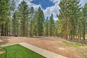 Interior - Secluded Woodland Park Home - Hike & Bike! (Woodland Park)