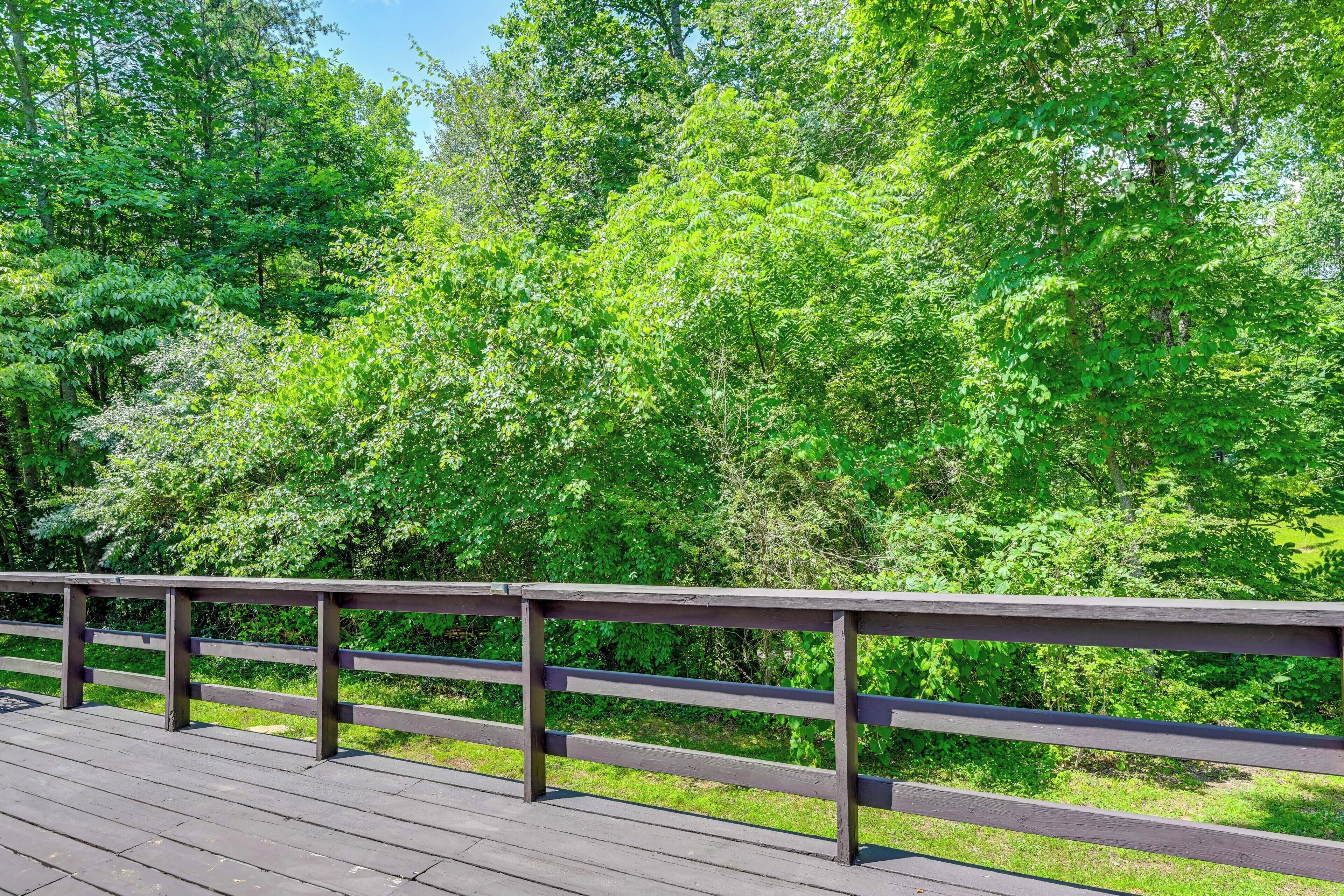 A wooden deck with a railing overlooking a dense forest.