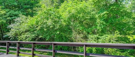 A wooden deck with a railing overlooking a dense forest.