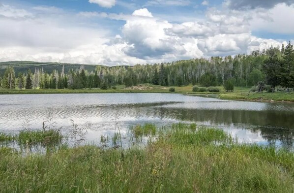 Un lac paisible, entouré d’une forêt dense et de collines.