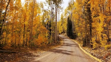 3 bedrooms, travel crib, free WiFi, bed sheets