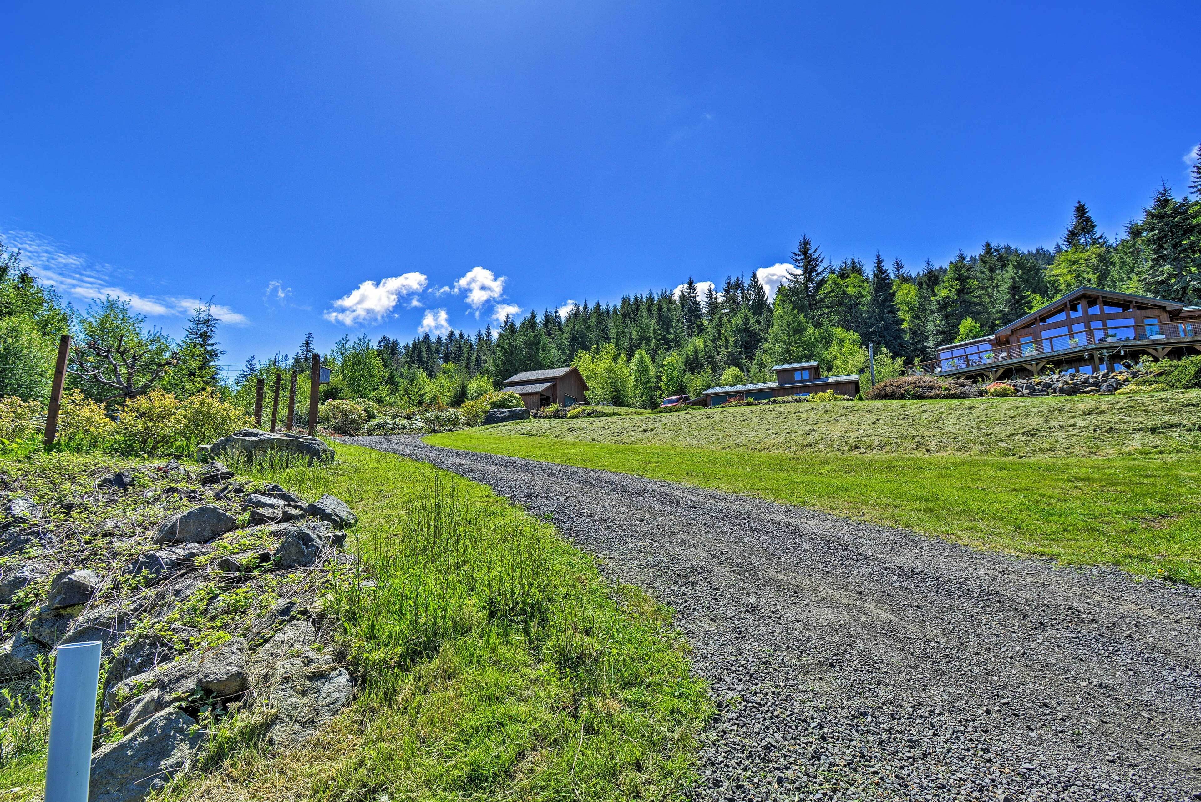 A gravel road winding through a green landscape with wooden cabins and a clear blue sky.
